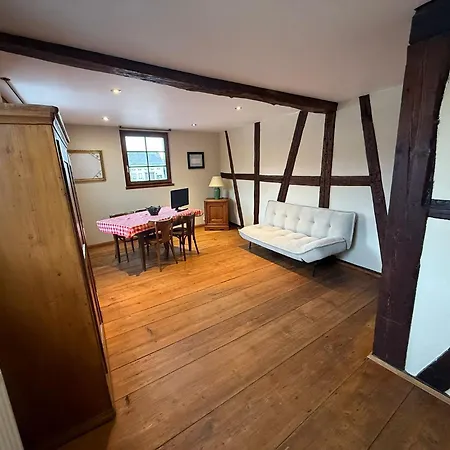 Les Perles Du Ried - Gite 7 - 15Mn Europapark - Proche Strasbourg Colmar Апартаменты