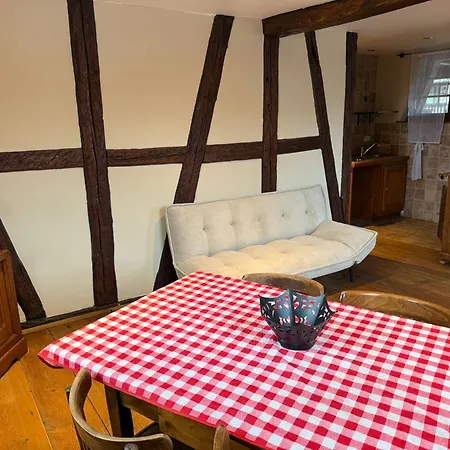 Les Perles Du Ried - Gite 7 - 15Mn Europapark - Proche Strasbourg Colmar Апартаменты