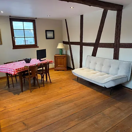 Les Perles Du Ried - Gite 7 - 15Mn Europapark - Proche Strasbourg Colmar * Boofzheim