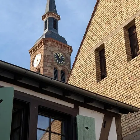 Les Perles Du Ried - 7 - 15mn Europapark - Proche Strasbourg Colmar Boofzheim